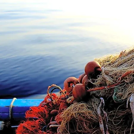 Il Vecchio E Il Mare Maratea