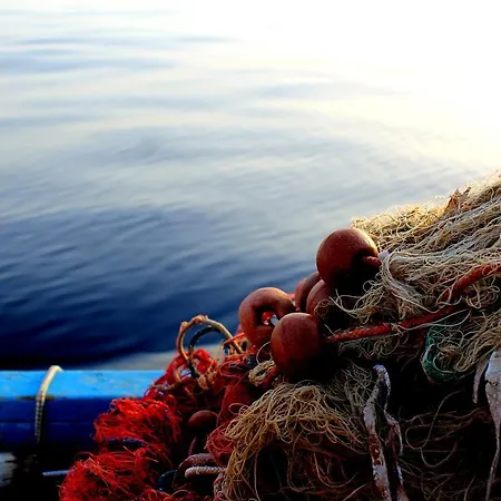 Il Vecchio E Il Mare