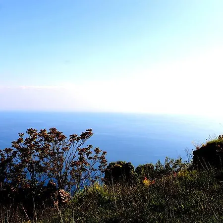 Bed and breakfast Il Vecchio E Il Mare Maratea