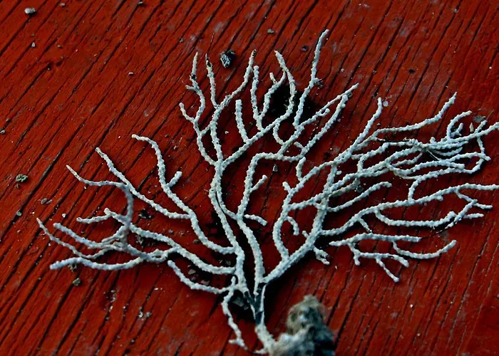 Bed & Breakfast Il Vecchio E Il Mare